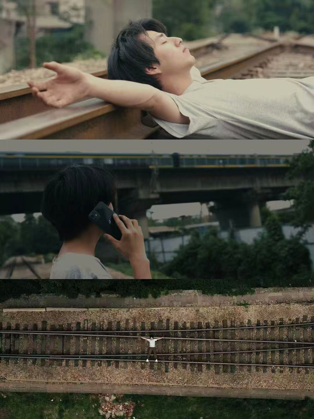 长青静帧 01