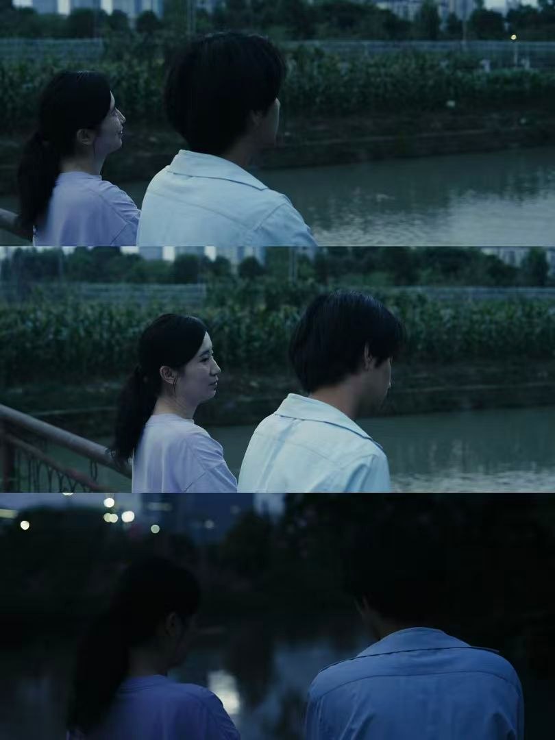 长青静帧 02